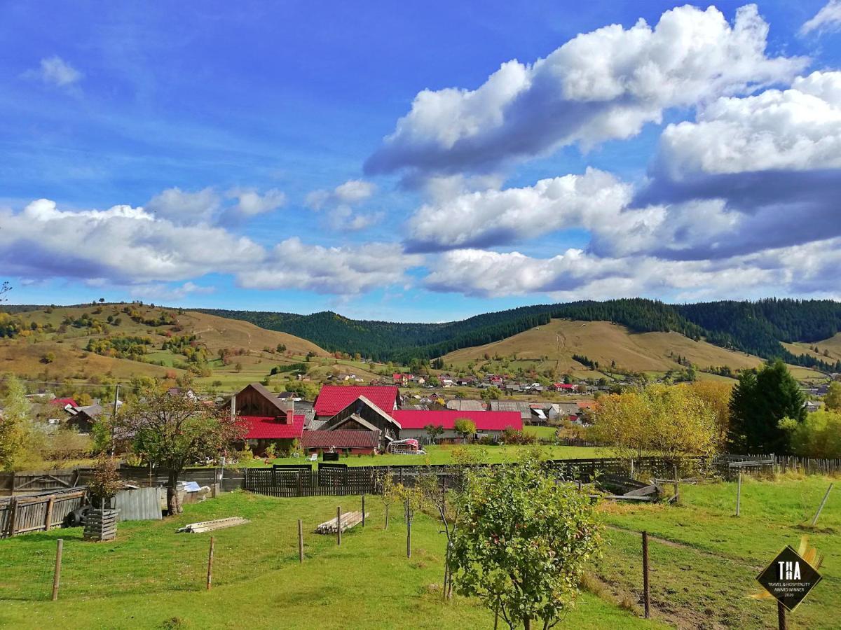 Casa Lacry Hotel Mînăstirea Humorului Екстериор снимка